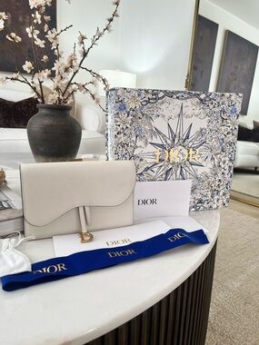 Dior saddle shoulder chain bag